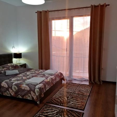 Pensiunea Timis Borşa Exterior foto